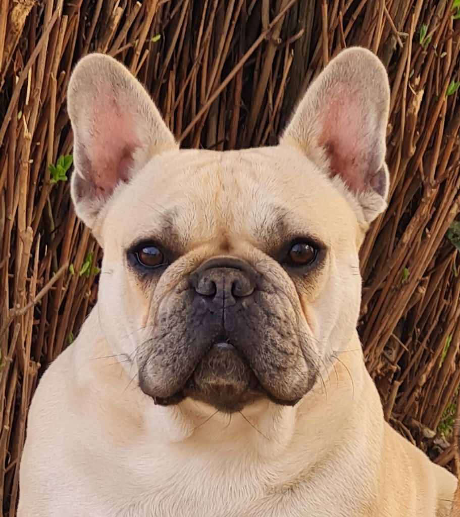 Tabatha Du Dieudonne